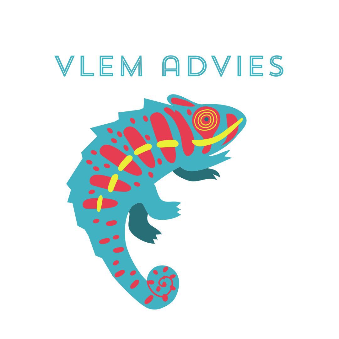 Vlem Advies
